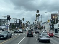 Los Angeles - Fahrt durch Hollywood 