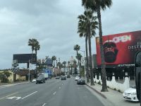 Los Angeles - Fahrt durch Hollywood