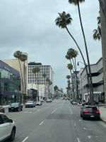 Los Angeles - Fahrt durch Beverly Hills