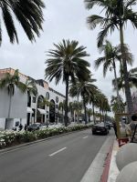 Los Angeles - Spaziergang durch Beverly Hills - Rodeo Drive