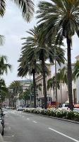 Los Angeles - Spaziergang durch Beverly Hills - Rodeo Drive