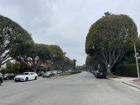 Los Angeles - Spaziergang durch Beverly Hills