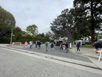 Los Angeles - Spaziergang durch Beverly Hills