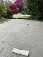 Los Angeles - Spaziergang durch Beverly Hills