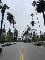 Los Angeles - Spaziergang durch Beverly Hills