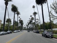 Los Angeles - Spaziergang durch Beverly Hills