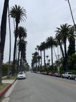 Los Angeles - Spaziergang durch Beverly Hills