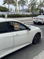 Los Angeles - Spaziergang am Santa Monica Pier
