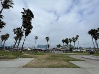 Los Angeles - Spaziergang durch Venice