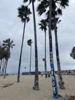 Los Angeles - Spaziergang durch Venice