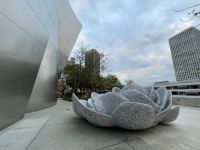 Los Angeles - Spaziergang durch Downtown - Walt Disney Hall