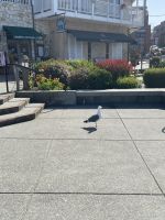 Rundgang durch Monterrey 