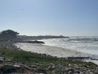 Monterrey - Fahrt entlang des 17miles Drive