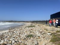 Monterrey - Fahrt entlang des 17miles Drive