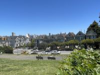 San Francisco - Alamo Square - die berühmten Häuser Painted Ladies