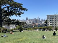 San Francisco - Alamo Square - die berühmten Häuser Painted Ladies