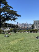San Francisco - Alamo Square - die berühmten Häuser Painted Ladies