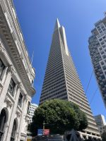 San Francisco - Transamerica Pyramid