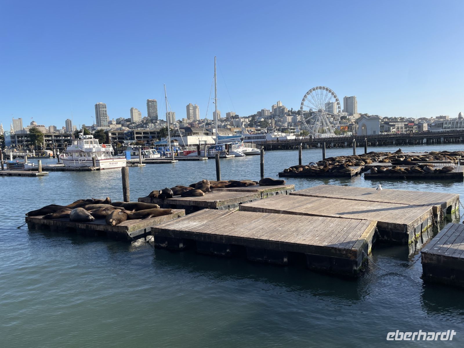 San Francisco - Spaziergang zum  Pier39