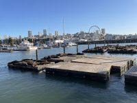 San Francisco - Spaziergang zum  Pier39