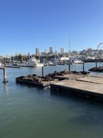 San Francisco - Spaziergang zum  Pier39
