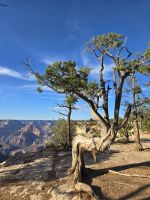 Wanderung entlang des Rim-Trails vom Mather Point zur Bright Angel Lodge
