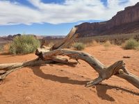 Jeepsafari durch Monument Valley