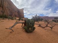 Felsen des Regengottes, ein heiliger Ort der Navajo Indianer
