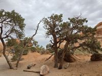 Auf dem Weg vom Devils Garden Trail 