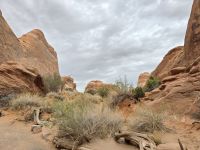 Auf dem Weg vom Devils Garden Trail 
