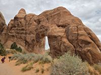 Pine Tree Arch, Devils Garden