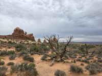 Windows Trail im Arches Nationalpark