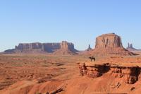 ...für das perfekte Bild