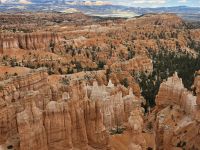 Hoodoos im Bryce Canyon