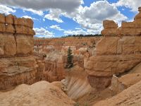 Hoodoos im Bryce Canyon