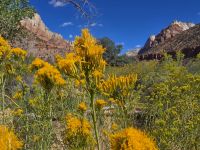 Zion Nationalpark
