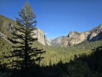 Aussichtspunkt Tunnelview mit Blick auf den 1000 Meter hohen Granitfels El Capitan (links)