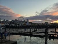 Fischermanns Warf in San Francisco