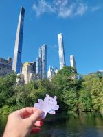 New York - Spaziergang durch den Central Park