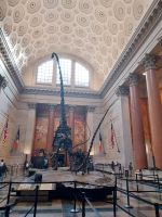 New York - American Museum of Natural History