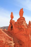 unser Starfotograf :)