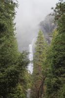 der berühmte fast 740 Meter hohe Yosemite-Wasserfall