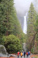 Spaziergang zum Yosemite-Wasserfall