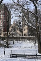 New York City - Central Park (8)