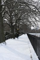 New York City - Central Park (10)