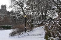 New York City - Central Park (11)