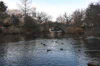 New York City - Central Park (17)