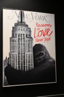 New York City - Empire State Building (1)