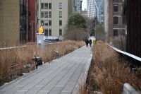 New York City - High Line (1)