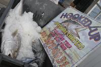 Ausflug nach Key West